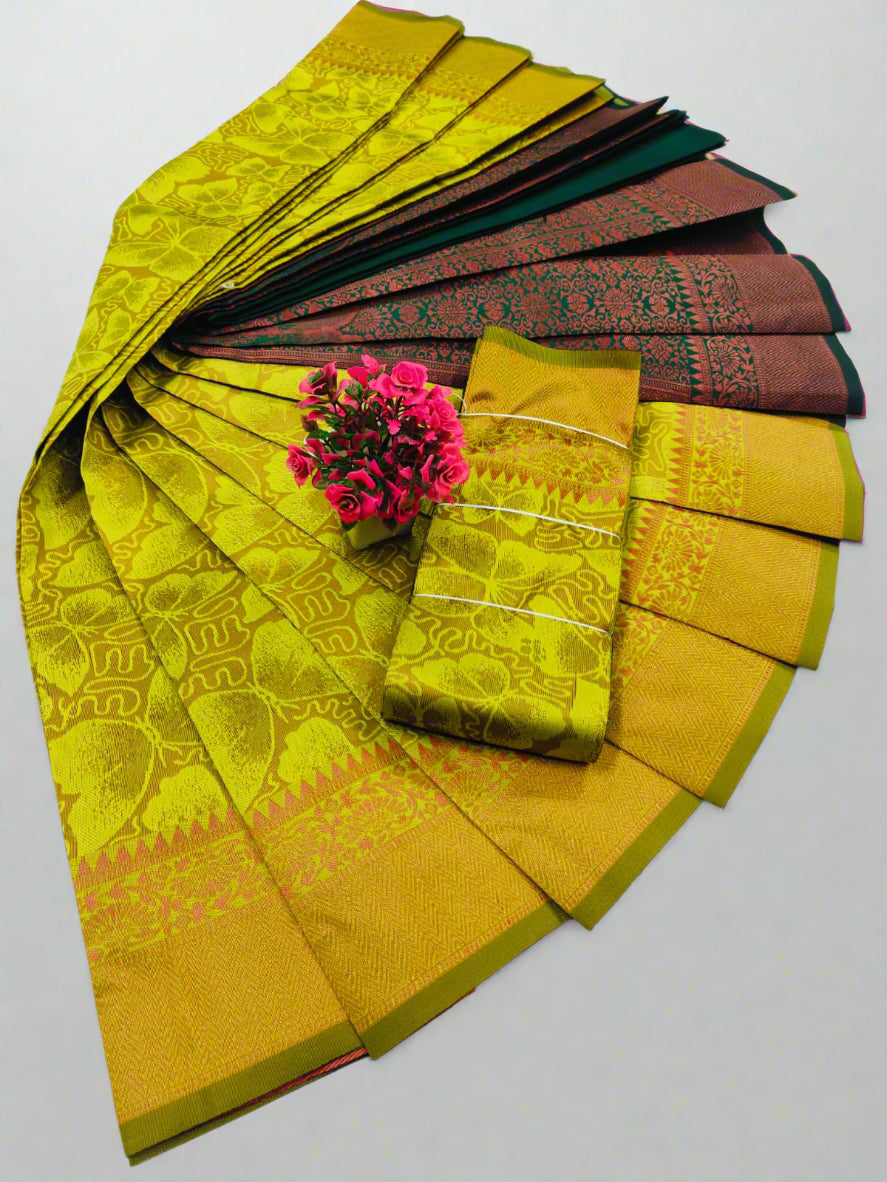 Butterfly saree